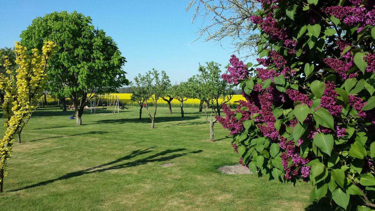Landferienhof "Mueritzufer" Ludorf Esterno foto