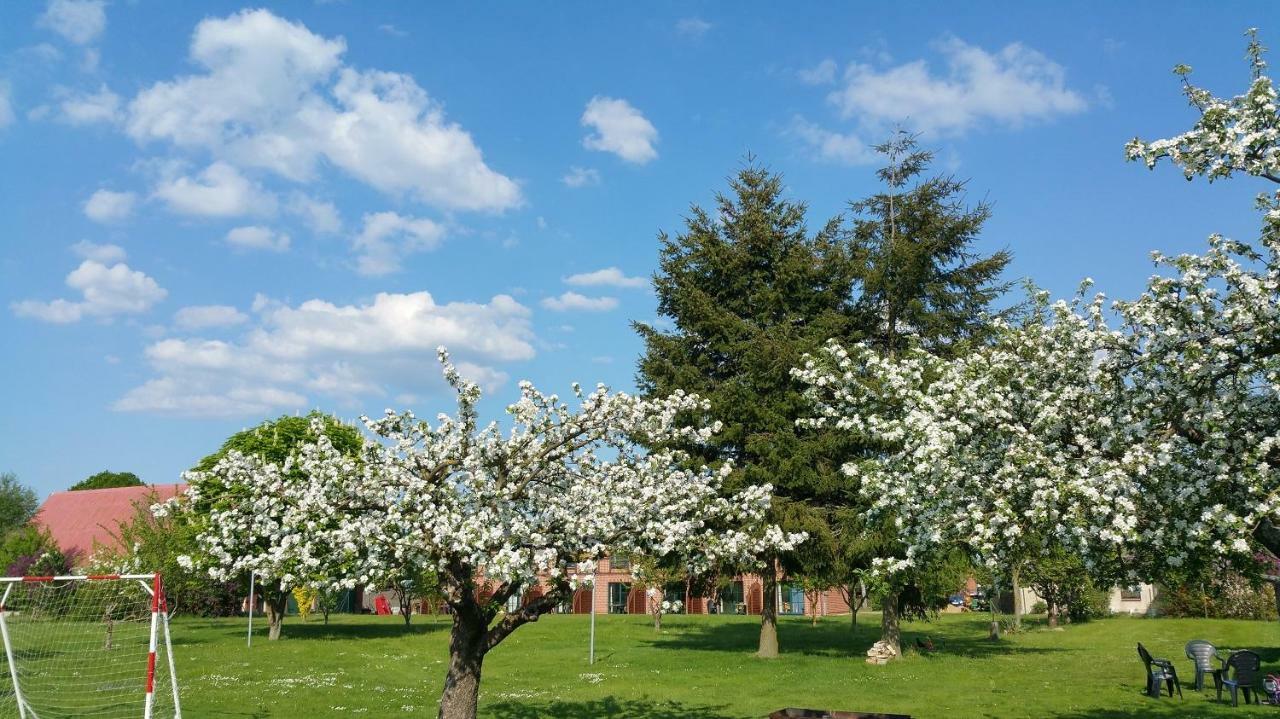 Landferienhof "Mueritzufer" Ludorf Esterno foto