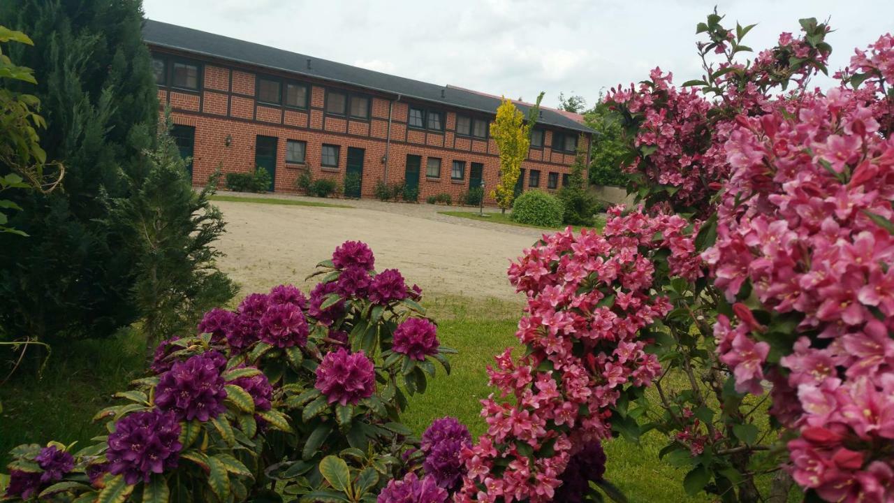 Landferienhof "Mueritzufer" Ludorf Esterno foto